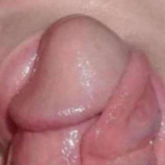 Apasionada cariñosa con muchas ganas de conocerte