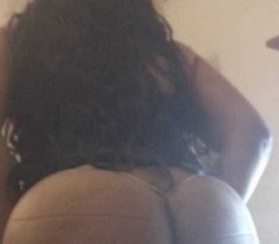 2 trans fiesta 24 horas